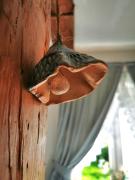 Top Wydminy Top Wydminy