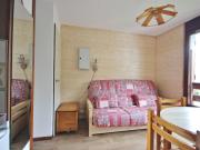 Studio 3 personnes avec piscine et animaux admis à Bourg-Saint-Maurice - FR-1-411-445