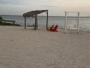Top Tampa