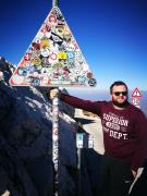 Palace Inn Rooms Palace Inn Rooms