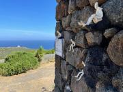 Top Pantelleria