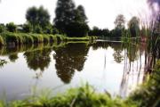 Agroturystyka Zagroda w Kobylicach