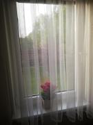 Poilsio namelis po juodalksniais (Nemirseta)