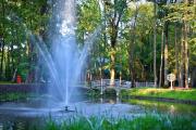 Top Ludza
