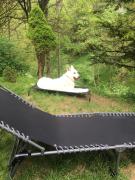 Top Loče pri Poljčanah