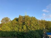 Top Gdynia Top Gdynia