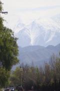 Top Lujan de Cuyo