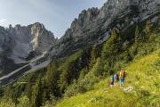 Top Scheffau am Wilden Kaiser