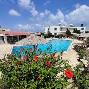 Lovely 1-bedroom unit @ fabulous location