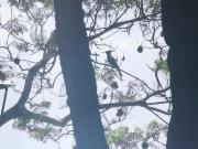 Top Santa Brígida Top Santa Brígida