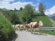 Top Matrei in Osttirol