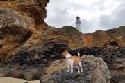 Top Aireys Inlet