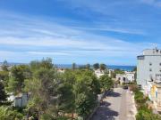 Top Gallipoli