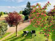 Top Arezzo Top Arezzo