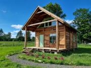 Top Wolimierz Top Wolimierz