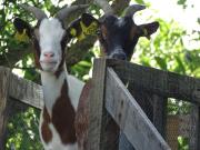 Top Bragny-sur-Saône