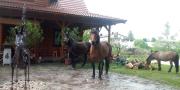 Top Martovce