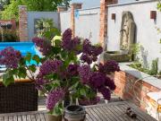 Top Elsterheide Top Elsterheide