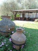 Top Chrysi Ammoudia Top Chrysi Ammoudia