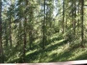 Studio calme en forêt, proche télésiège et commerces - FR-1-322-289