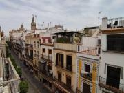 Top Seville
