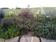 Top Bonndorf im Schwarzwald Top Bonndorf im Schwarzwald