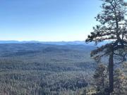 Top Payson