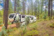 Top Payson