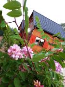 Top Przeciszów Top Przeciszów