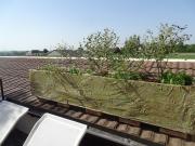 Top Bragny-sur-Saône