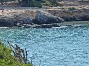 SALENTO MARE E ARTE