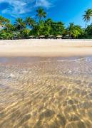 Top Ilha de Boipeba