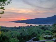 U Castellu, l hôtel particulier U Castellu, l hôtel particulier