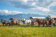 Top Zakopane