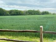 Top Chichester