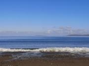 Nature Retreat - Sleeps 4 & Wild Ponies