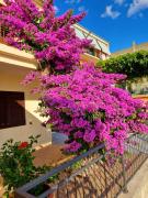 Apartman Ruža Apartman Ruža