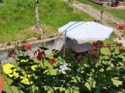 Top Livemmo