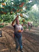 Agriturismo i doni del mandorlo