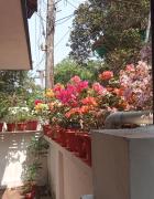 Top Cochin