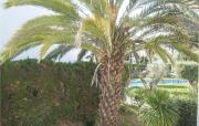 Top Estepona