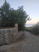 Top Ancient Epidavros
