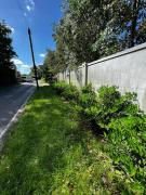 Top Chertsey