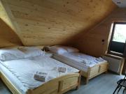 Top Cisówek Top Cisówek