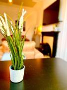 Historic 2-Bed Paisley Retreat, Airport & Station