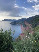 Top Volastra Top Volastra