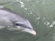 Top Hilton Head Island