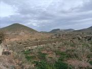 Top Fernán Pérez Top Fernán Pérez