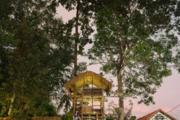 Top Wayanad