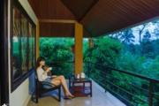 Top Wayanad